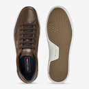 Sapatênis Ferracini Masculino Star Chocolate